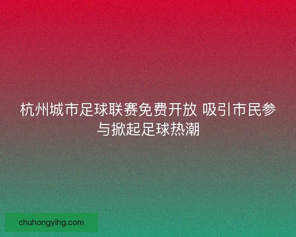 杭州城市足球联赛免费开放 吸引市民参与掀起足球热潮