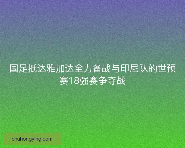 国足抵达雅加达全力备战与印尼队的世预赛18强赛争夺战
